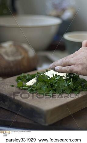 Stock Photo -  Still life indoor image of parsley being chopped on a cutting board.. Fotosearch