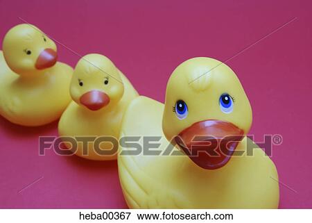 bad, duck, ducks, mother, children, plastic, plastics View Large Photo Image Stock Photo - bad, duck, ducks, mother, children, plastic, plastics. Fotosearch