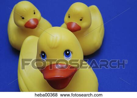 bad, duck, ducks, mother, children, plastic, plastics View Large Photo Image Stock Photo - bad, duck, ducks, mother, children, plastic, plastics. Fotosearch