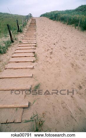 beach, holidays, vacation, holiday, leave, recreation, sand View Large Photo Image Stock Image - beach, holidays, vacation, holiday, leave, recreation, sand. Fotosearch