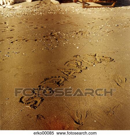 beach, sand, summer, summers, medium format, signature, perspective View Large Photo Image Stock Photography - beach, sand, summer, summers, medium format, signature, perspective. Fotosearch