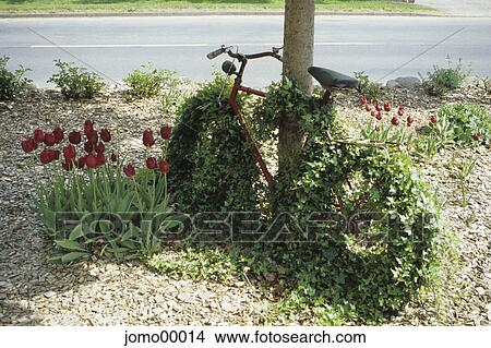 Picture - bicycle, old, redly, red, ruddy, commie, overgrown. Fotosearch