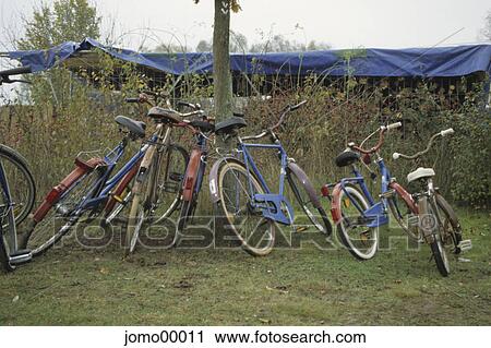 bike, bicycles, bicycle, restored, park View Large Photo Image Stock Image - bike, bicycles, bicycle, restored, park. Fotosearch