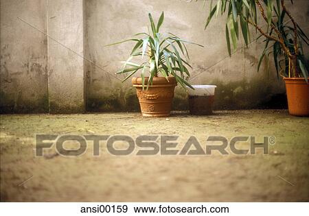 Stock Photo - blades, ground, soil, grounds, outdoors, green, environment. Fotosearch