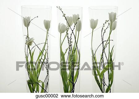 blossom, paint, green, objects, artifact, product View Large Photo Image Stock Image - blossom, paint, green, objects, artifact, product. Fotosearch