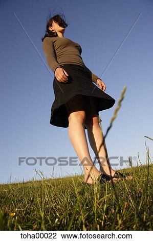Stock Image - blue sky, blue, meadow becomes green, portrait, green, sky, meadow. Fotosearch