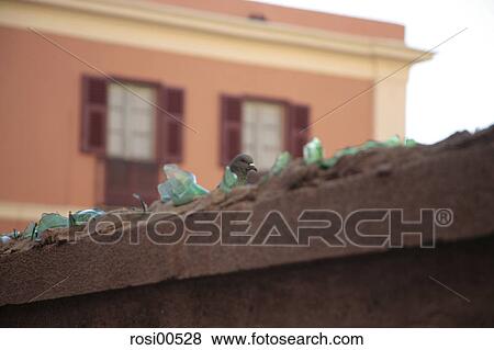 cagliari, Sardinia, pieces of broken glass, glass, sharp, wall View Large Photo Image Stock Photo - cagliari, Sardinia, pieces of broken glass, glass, sharp, wall. Fotosearch