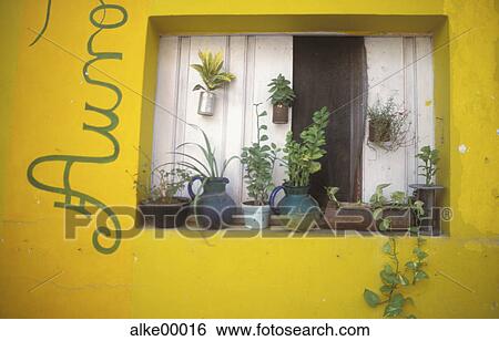Stock Photograph - cellar, America, architecture, Botany, central america, Day, window board. Fotosearch