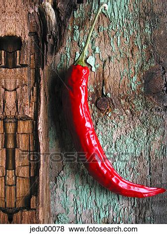 chili, food, healthy food, Healthy, healthy eating, indoors, red View Large Photo Image Stock Photo - chili, food, healthy food, Healthy, healthy eating, indoors, red. Fotosearch