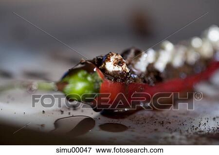 chocolate, chili, dessert, food, sharp, piquant, dangerous View Large Photo Image Stock Photo - chocolate, chili, dessert, food, sharp, piquant, dangerous. Fotosearch