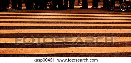 crosswalk, pedestrian, pedestrian crossing, stripes, road, street, feet View Large Photo Image Stock Image - crosswalk, pedestrian, pedestrian crossing, stripes, road, street, feet. Fotosearch