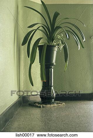 Stock Photo - detail, interior, stone floor, plant, stairway, staircase. Fotosearch