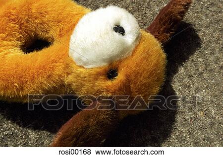 Stock Photo - dog plaything, dog, puppy, pet, friend, animal, small. Fotosearch