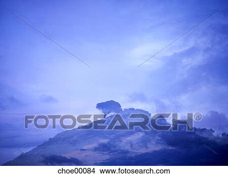 double exposure, hilltop, surrealism, nature, landscape, scenery, outdoor shot View Large Photo Image Picture - double exposure, hilltop, surrealism, nature, landscape, scenery, outdoor shot. Fotosearch