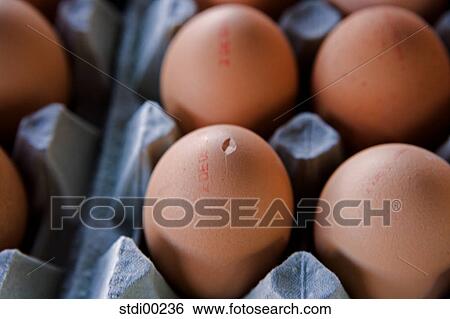 egg, healthy nutrition, eggs, food, foods, aliment, health View Large Photo Image Stock Photograph - egg, healthy nutrition, eggs, food, foods, aliment, health. Fotosearch