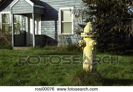 eugene, Oregon, USA, America, north, northwest, west coast View Large Photo Image Stock Photograph - eugene, Oregon, USA, America, north, northwest, west coast. Fotosearch
