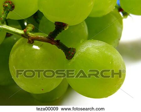 Stock Photo - fiber, delicious, farm, drink, diet, fibre, agriculture. Fotosearch