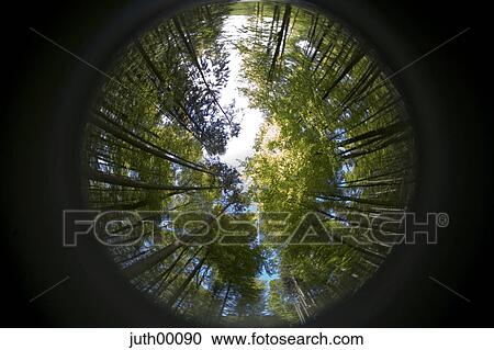 fisheye, Fisheye, perspective, deformed, round, circle, circular View Large Photo Image Stock Image - fisheye, Fisheye, perspective, deformed, round, circle, circular. Fotosearch