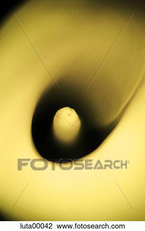 flower, detail, flora, shape, breastfeeding aid, bloom View Large Photo Image Stock Image - flower, detail, flora, shape, breastfeeding aid, bloom. Fotosearch
