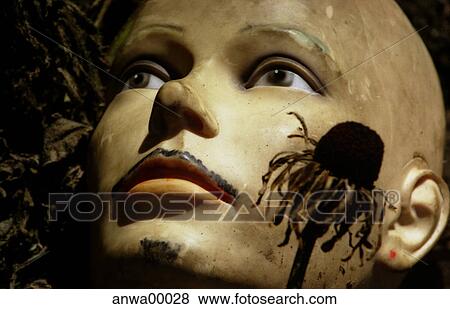 foliage, dummy, leaves, art, beard, dead, androgynous View Large Photo Image Stock Photo - foliage, dummy, leaves, art, beard, dead, androgynous. Fotosearch