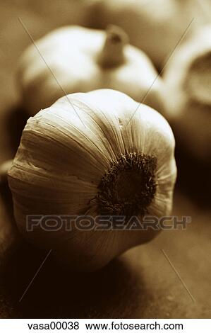 Stock Photo - food, garlic, spice, bulbs, odor, kitchen, cooking. Fotosearch