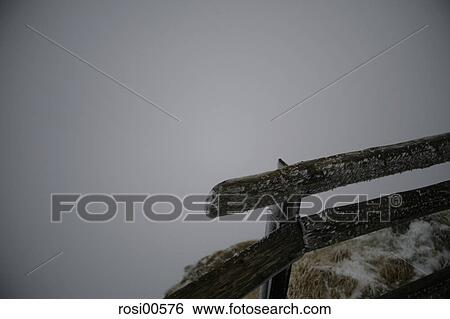frost, winter, ice, snow, cold, coldness, ice cold View Large Photo Image Stock Photograph - frost, winter, ice, snow, cold, coldness, ice cold. Fotosearch