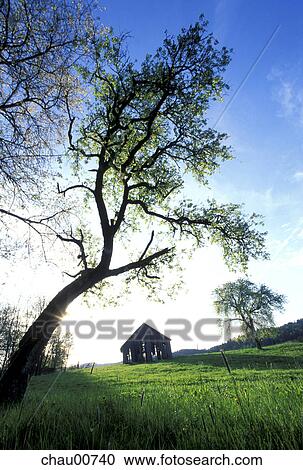 grass, Christian, empty, Day, Cottage, farmer, abandoned View Large Photo Image Stock Image - grass, Christian, empty, Day, Cottage, farmer, abandoned. Fotosearch