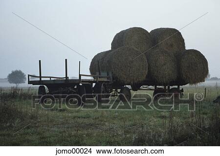 harvest, straw ball, straw, rural, agriculture, farm, field View Large Photo Image Picture - harvest, straw ball, straw, rural, agriculture, farm, field. Fotosearch