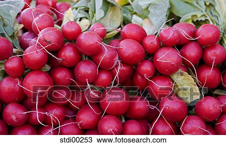 healthy nutrition, food, foods, aliment, health, healthy, green View Large Photo Image Stock Image - healthy nutrition, food, foods, aliment, health, healthy, green. Fotosearch