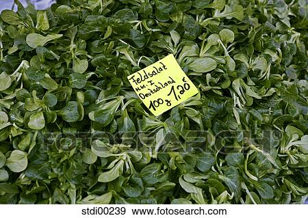healthy nutrition, offer, weekly market, food, foods, aliment, health View Large Photo Image Stock Photo - healthy nutrition, offer, weekly market, food, foods, aliment, health. Fotosearch