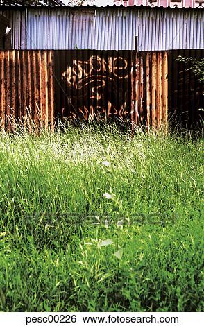 Stock Photograph - informal settlement, ghetto, graffiti, Europe, grass, prague, Czech Republic. Fotosearch