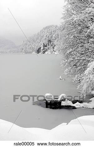 lake, winter, snow, ice, tree, cold, snowy View Large Photo Image Stock Photography - lake, winter, snow, ice, tree, cold, snowy. Fotosearch