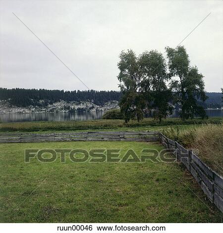 landscape, grass, lake, scenery, water, waters, aquatic View Large Photo Image Stock Photograph - landscape, grass, lake, scenery, water, waters, aquatic. Fotosearch