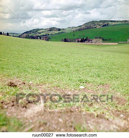 Stock Photo - landscape, grass, Woken, scenery, cloudy, forest, Switzerland. Fotosearch