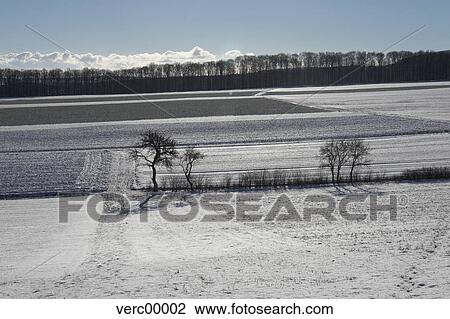 landscape, winter, scenery, snowy, tree, field, acre View Large Photo Image Stock Image - landscape, winter, scenery, snowy, tree, field, acre. Fotosearch