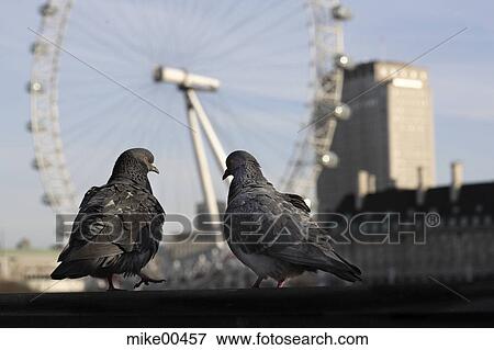 Stock Photo - London, gondola, gondolas, sight, attraction, high, tall. Fotosearch