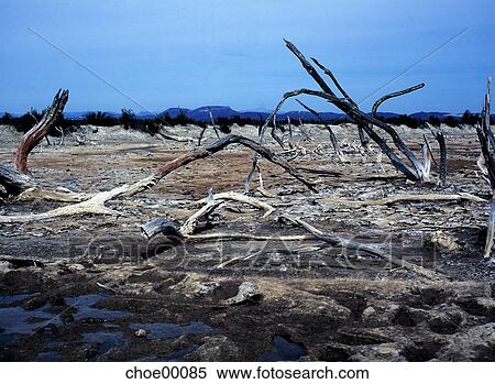 Stock Photography - nature, dehydration, Earth, landscape, scenery, Spain, Mallorca. Fotosearch