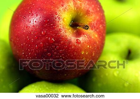 nature, food, green, red, apples, natural, apple View Large Photo Image Stock Image - nature, food, green, red, apples, natural, apple. Fotosearch