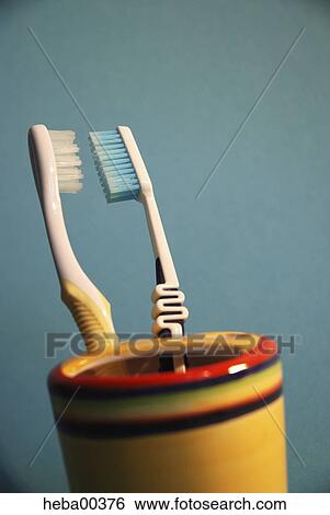 oral hygiene, tooth, teeth, clean, toothbrush, two, as a pair View Large Photo Image Stock Photograph - oral hygiene, tooth, teeth, clean, toothbrush, two, as a pair. Fotosearch