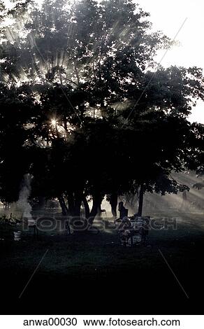 park, barbecue, setting sun, grill, weekend, tree, nature View Large Photo Image Stock Image - park, barbecue, setting sun, grill, weekend, tree, nature. Fotosearch