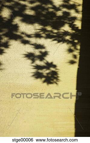 park, shade, shadow, leaves, blades, wall, rendering View Large Photo Image Stock Photograph - park, shade, shadow, leaves, blades, wall, rendering. Fotosearch