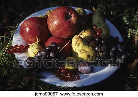 pears, fruit, harvest festival, thanksgiving, apples, grapes, plums View Large Photo Image Stock Photo - pears, fruit, harvest festival, thanksgiving, apples, grapes, plums. Fotosearch