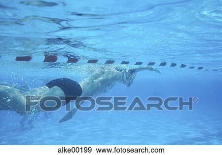 people, cellar, free time, Dive, Day, pool, aquatic sport View Large Photo Image Stock Photo - people, cellar, free time, Dive, Day, pool, aquatic sport. Fotosearch