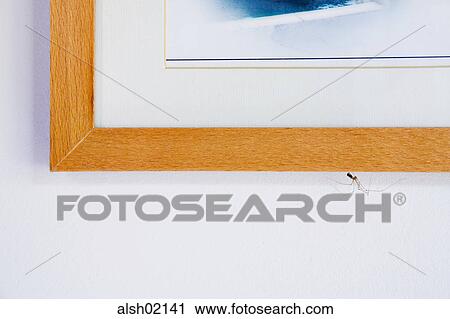 picture, pictures, picture frame, frame, disgust, nasty, household View Large Photo Image Stock Image - picture, pictures, picture frame, frame, disgust, nasty, household. Fotosearch