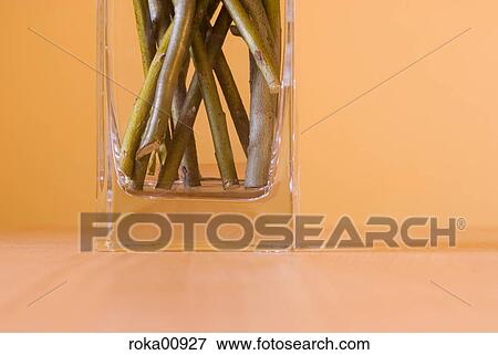 Stock Photo - plant peduncle, beech, table, wooden table, glass vase, thermal, warm. Fotosearch
