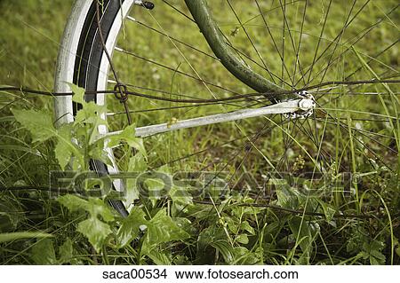Picture - quebec, activity, america, canada, continent, free time, geography. Fotosearch