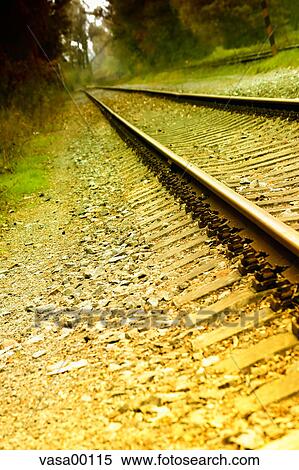 railway, railways, track, perspective, far, lines, converging View Large Photo Image Stock Photography - railway, railways, track, perspective, far, lines, converging. Fotosearch