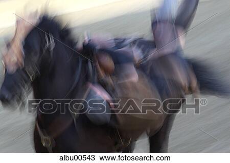 rider, horse, movement, move, motion blur, riding show, circus View Large Photo Image Stock Image - rider, horse, movement, move, motion blur, riding show, circus. Fotosearch