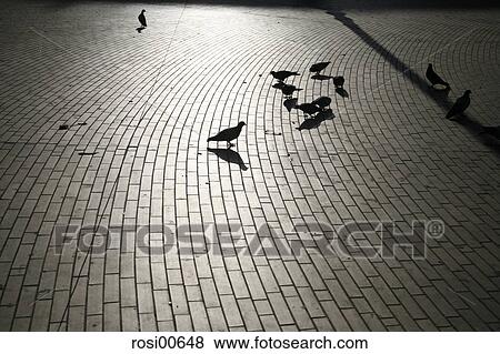 Sardinia, city, town, place, paving-stones, cobblestones, marketplace View Large Photo Image Stock Photo - Sardinia, city, town, place, paving-stones, cobblestones, marketplace. Fotosearch