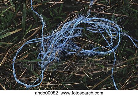 shape, grass, rope, beach, cord, blue, turquoise View Large Photo Image Stock Image - shape, grass, rope, beach, cord, blue, turquoise. Fotosearch
